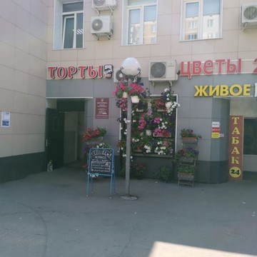 Мигрант Про фото 3