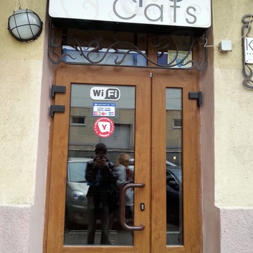 Cats в Ленинском районе фото 1