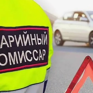 Аварийный комиссар фото 1