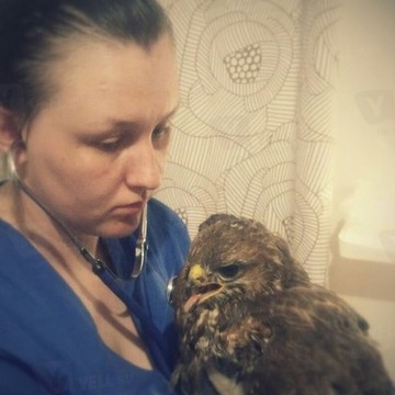 Ветеринарная клиника &quot;ВетЛайт&quot; В Новом Ступино фото 2