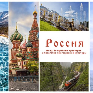 Черепашка тревл фото 2