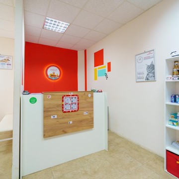 Ветеринарная клиника Айболит на Смоленской улице фото 1