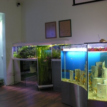Компания по продаже и изготовлению аквариумов АКВАдизайн на улице Бутырский Вал фото 1