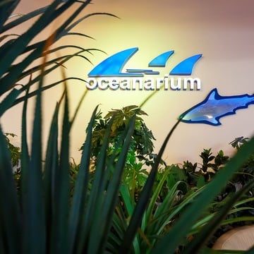 OCEAN PARK, океанариум фото 2