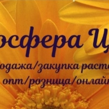 Компания Атмосфера цветов фото 1