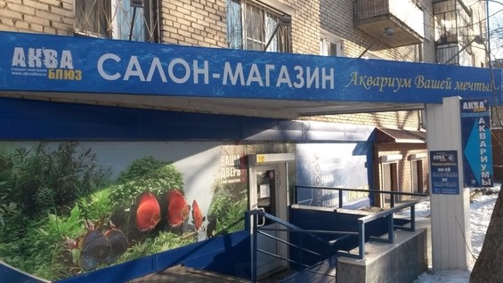 Аква блюз ул горького 64 фото