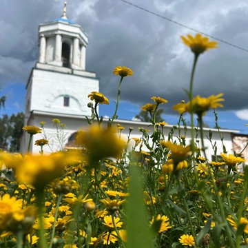 Храм Вознсения Господня с. Табынское фото 3