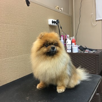 Пушистые лапки фото 1