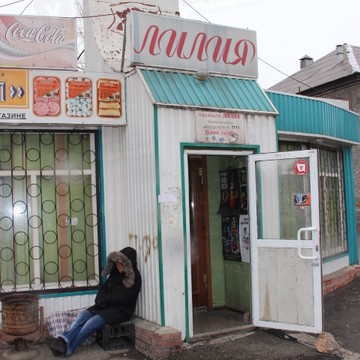 Лилия на улице Кутузова фото 1