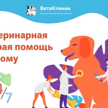 Вета в Клину фото 1