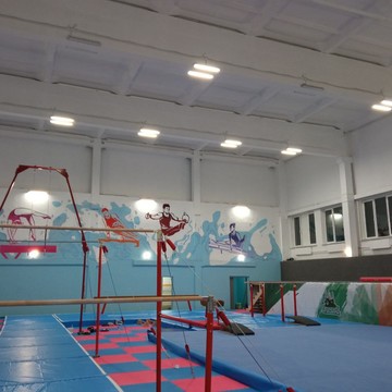 Школа спортивной гимнастики Ополченец во 2-м Южнопортовом проезде фото 2