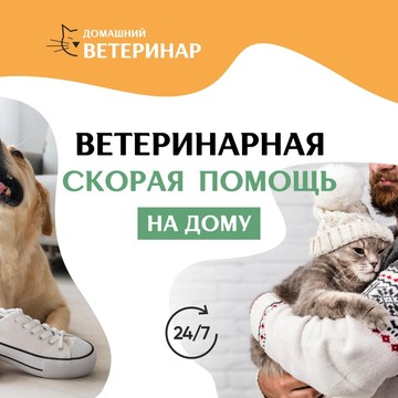 Ветеринарная служба Домашний ветеринар на улице Меркурьева фото 1