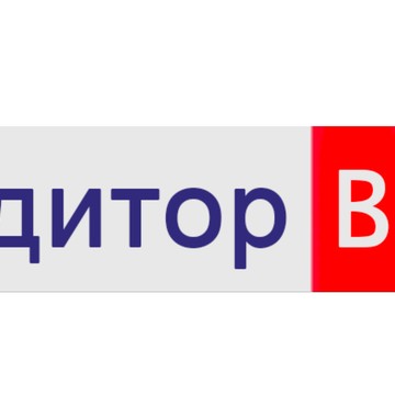 Аудитор ВЕД фото 2