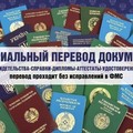 Фотография специалиста Щейхахмедов Магди