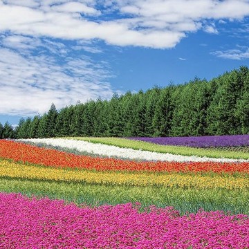 Психологический кабинет на Нижнем Кисловском переулке, 1 фото 2