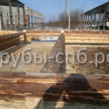 Срубы домов и бань фото 3