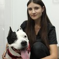 Фотография специалиста Уперенко Анна Романовна