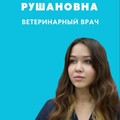 Фотография специалиста Мадьярова София Рушановна