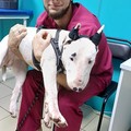 Фотография специалиста Мельников Евгений Александрович