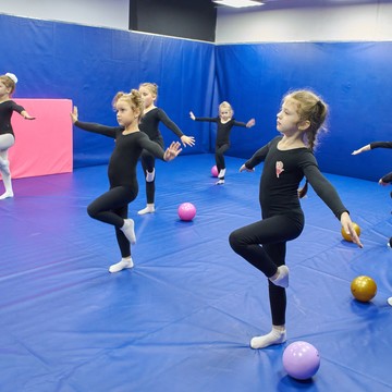 Школа художественной гимнастики Gym Balance на проспекте Народного Ополчения фото 3