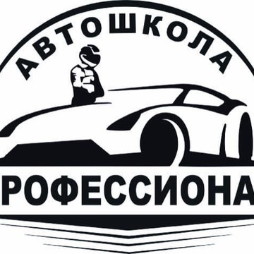 Автошкола Профессионал на улице Гагарина фото 1