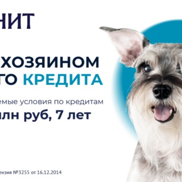 Банк ЗЕНИТ на Дунайском проспекте фото 2