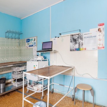 4 лапы+ фото 3