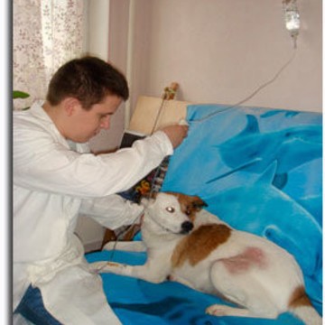 Ветеринарная клиника Шейлок на проспекте Ленинского Комсомола в Видном фото 1