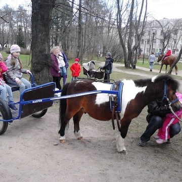 Конный клуб Western Horse в Санкт-Петербурге фото 2