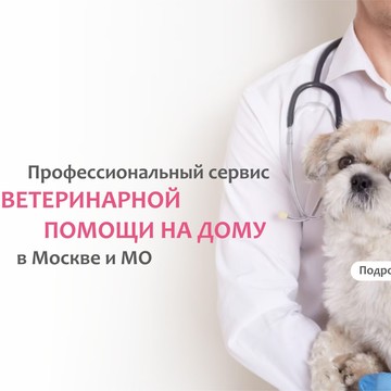 Ветеринарная клиника Vetdocs на Новоалексеевской улице, 12 стр 1 фото 2