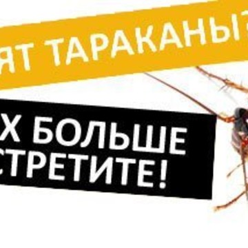Единая Служба Дезинфекции фото 1