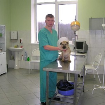 Областная ветеринарная клиника Ступино фото 1