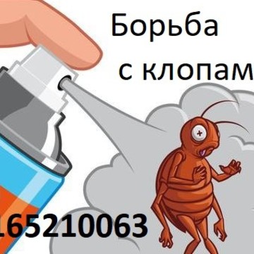 Борьба с клопами в Красносельском районе фото 1