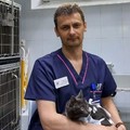 Фотография специалиста Семинистый Сергей Владимирович