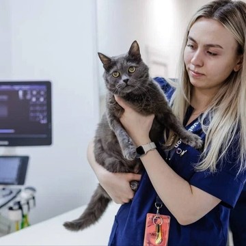 Ветеринарная клиника Зоопульс 24 фото 1