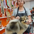 Фотография специалиста Хафизова Джамиля