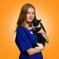 Фотография специалиста Гребенкина Дарья