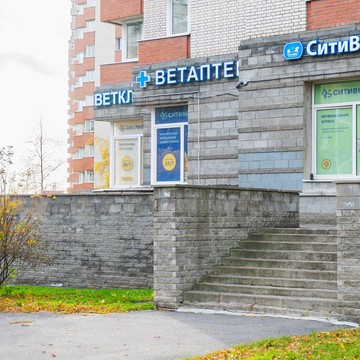 Ветеринарная клиника СитиВет на Кондратьевском проспекте фото 2