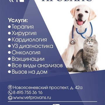 Ветеринарный кабинет Прованс на Новоясеневском проспекте фото 2