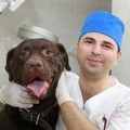 Фотография специалиста Индароков Владимир Арсенович