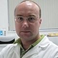Фотография специалиста Левин Денис Владимирович