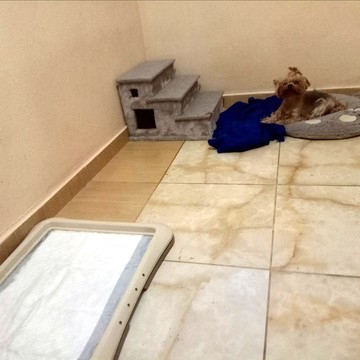 Зоогостиница Гранат фото 2