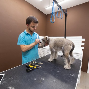 Ветеринарный кабинет и груминг-салон Дарьи Суховой фото 1
