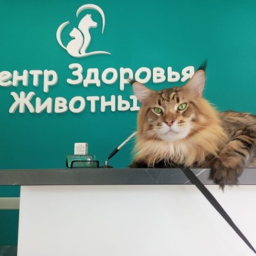Ветеринарная клиника Центр Здоровья Животных на Тепличной улице фото 2