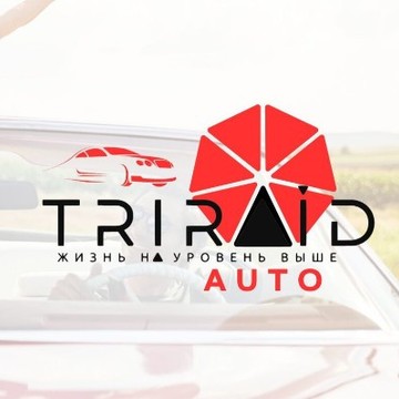 TRIRAID фото 3