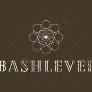 Компания BashLevel фото 1