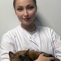 Фотография специалиста Семенова Каролина Руслановна