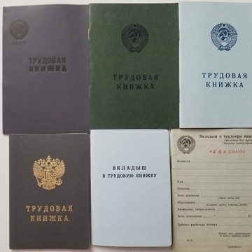 Trudovayaknizhka фото 1