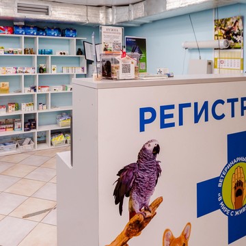 Ветеринарная клиника В мире с животными фото 3