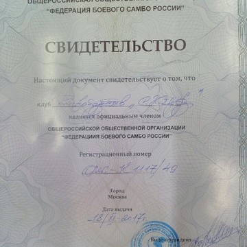 Скиф в Высотном проезде фото 3